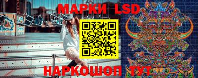 соль ск Новодвинск