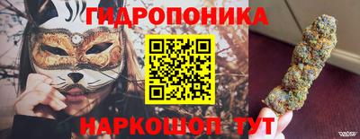 соль ск Новодвинск