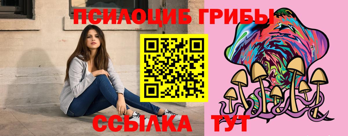 Псилоцибиновые грибы GOLDEN TEACHER Тара